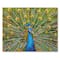 6 Pack: Peacock Diamond Art Kit by Make Market®